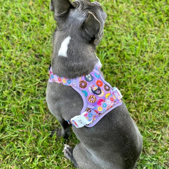 Other - Frenchie No Pull Harness, Leash, & Poop Bag Holder Set - M - Donuts Purple